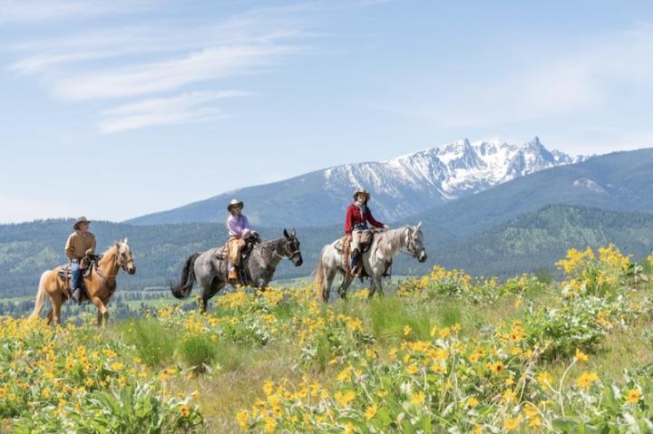 Trail riding in Montana