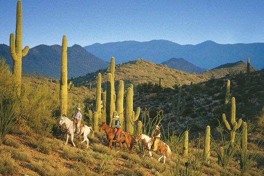 Winter ranch vacations riders in the desert in Arizona