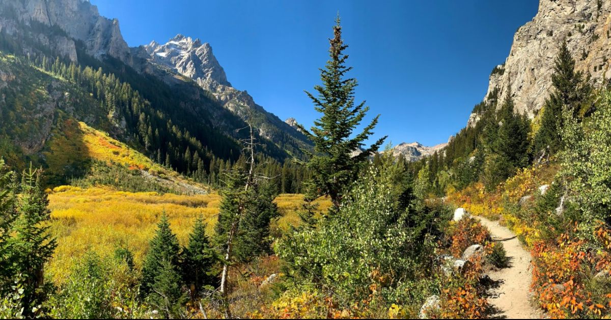 Ranch Roundup: Your Must-Have Guide to an Unforgettable Fall Ranch Vacation