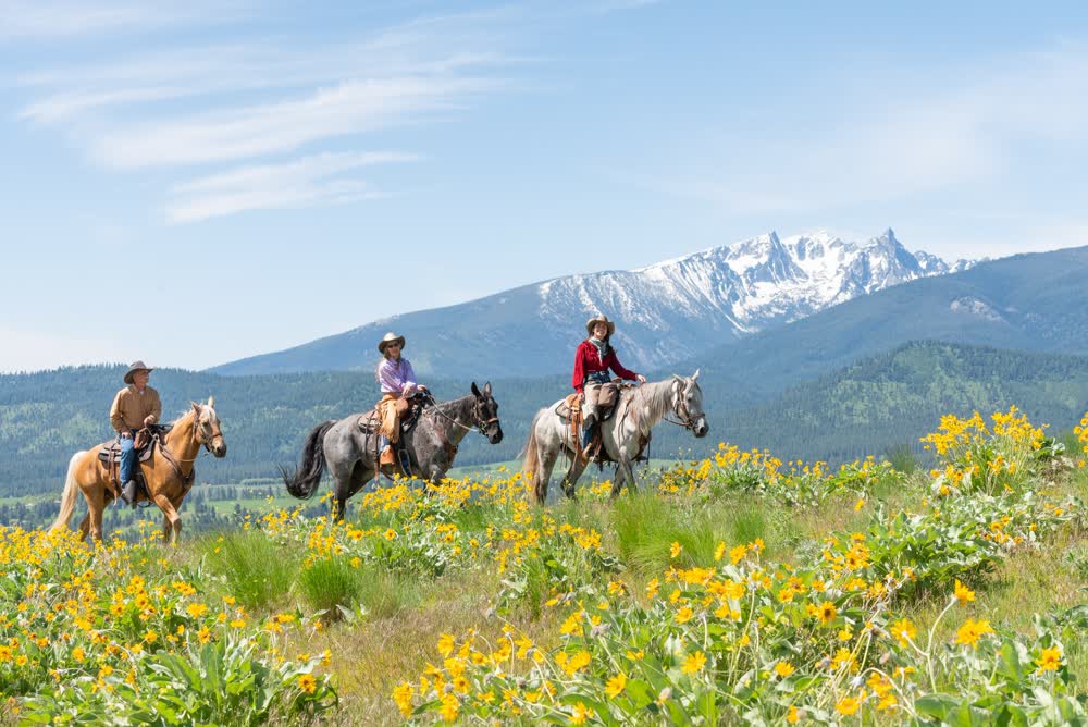 Riders on horseback crossing a wildflower meadow below snow-capped peaks