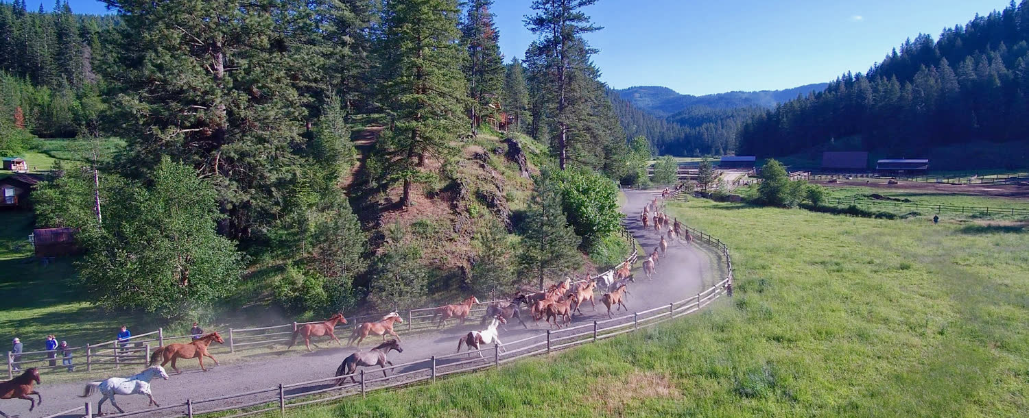 Red Horse Mountain Ranch, Harrison, Idaho (landscape)