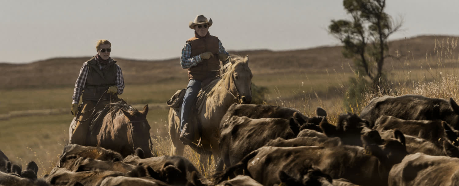 Rowse's 1+1 Ranch