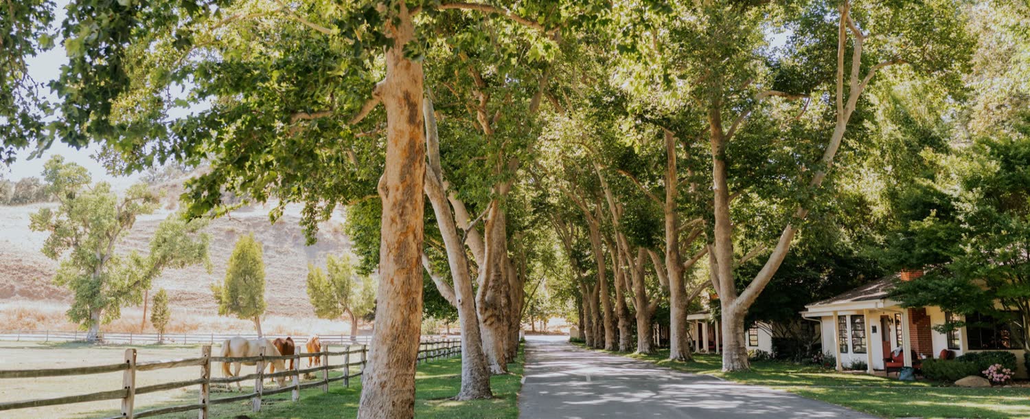 Alisal Ranch, Solvang, California (landscape)