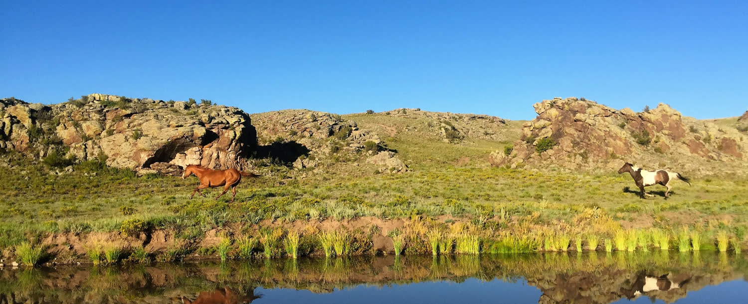 Badger Creek Ranch, Salida, Colorado (landscape)