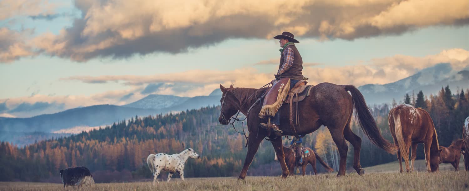 Western Pleasure Guest Ranch, Sandpoint, Idaho, Idaho (landscape)