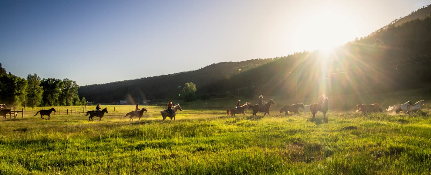 Colorado Trails Ranch