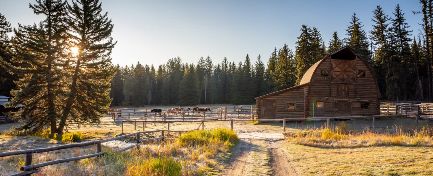 Trail Creek Ranch, Jackson, WY, Wyoming (landscape)