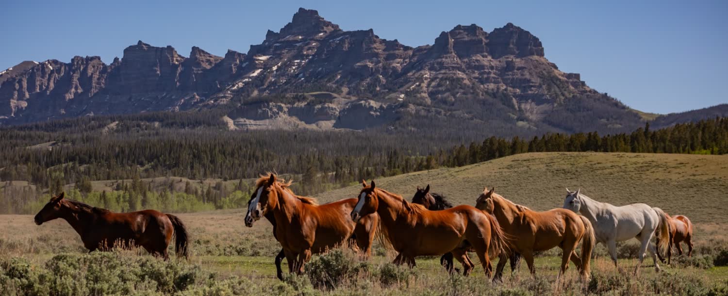Absaroka Ranch, Dubois, WY, Wyoming (landscape)