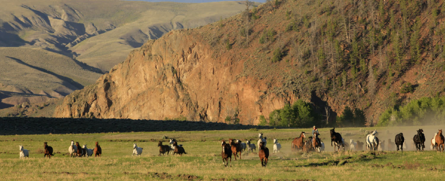 Bitterroot Ranch, Dubois, Wyoming (landscape)