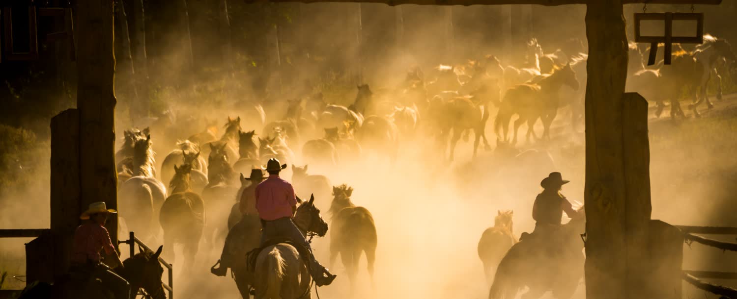 Paradise Ranch